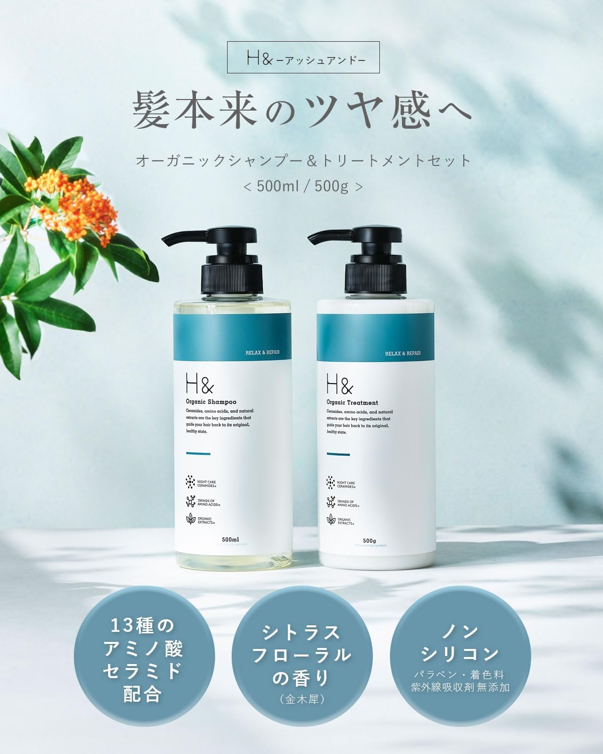 アミノ酸シャンプー・トリートメントセット (ダメージ集中補修)【美容室専売】