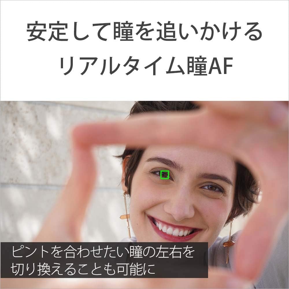 ソニー α6100 ダブルズームレンズキット ブラック ミラーレス一眼カメラ