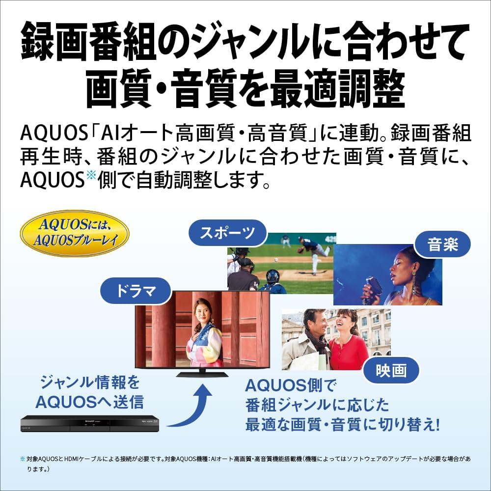 ブルーレイディスクレコーダー 1TB ダブルチューナー 外付けHDD対応