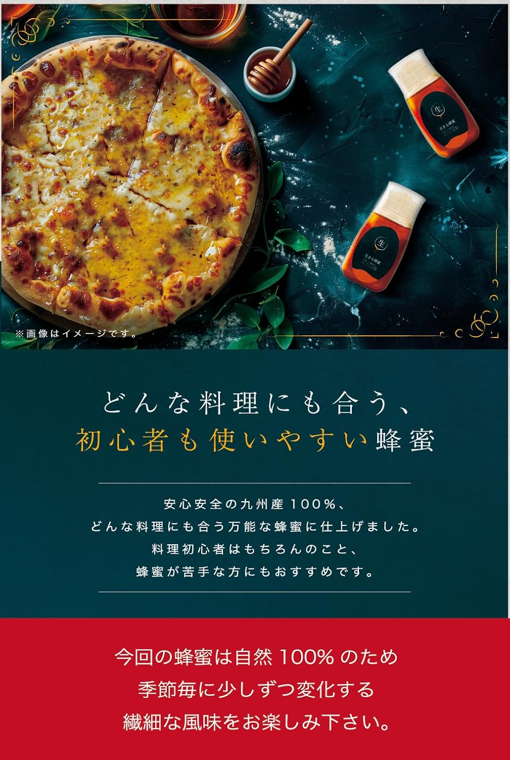 国産純粋生蜂蜜 280g 無添加・非加熱・砂糖不使用【九州蜂の子本舗】