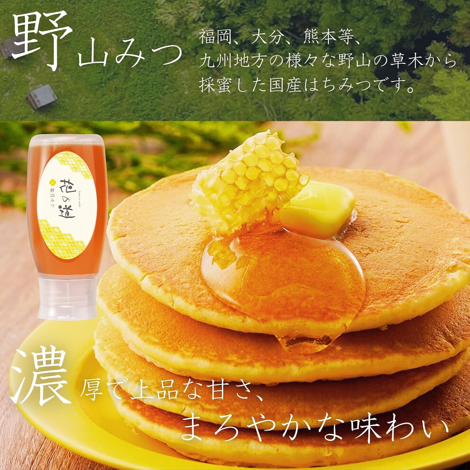 九州産 みつばち工房の生はちみつ（非加熱・無添加） 500g