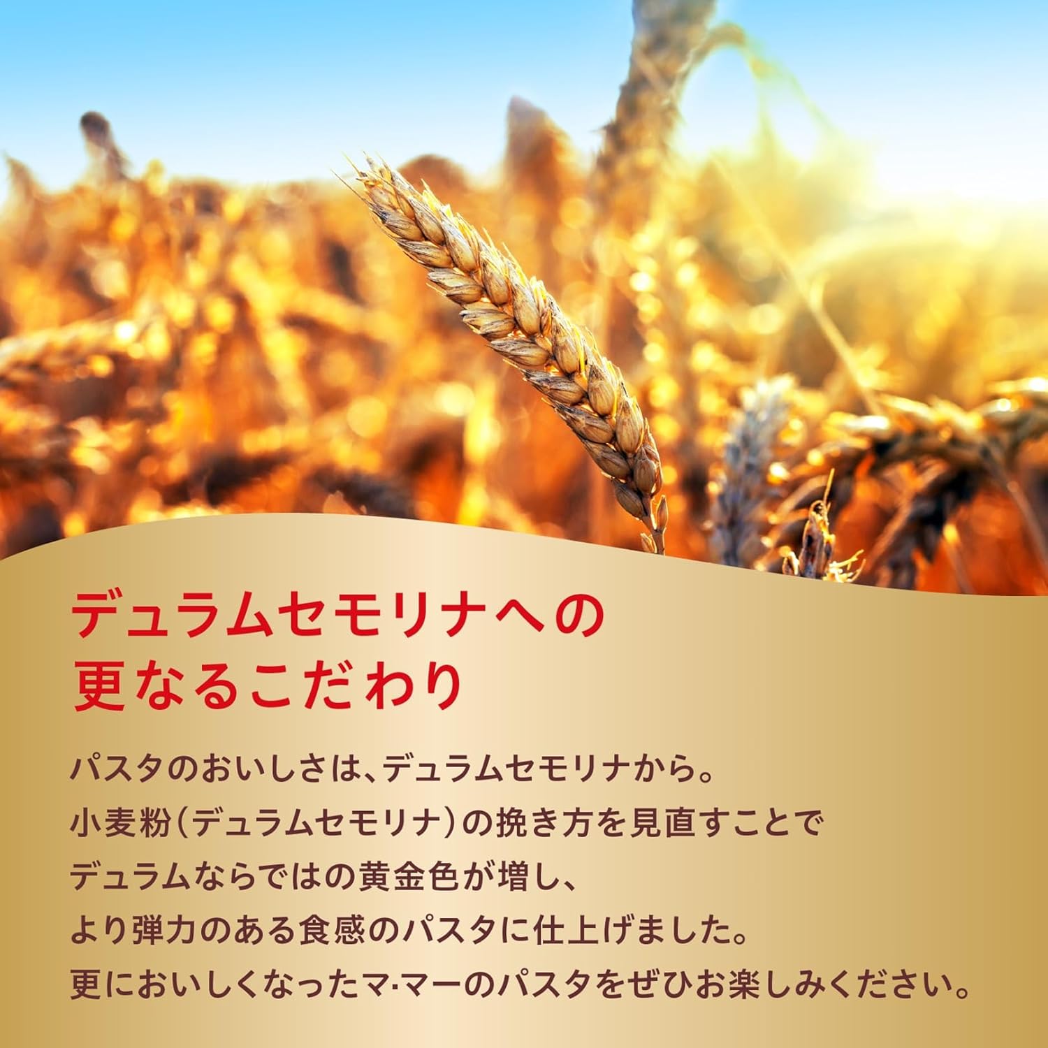 マ・マー 密封チャック付きスパゲッティ 1.6mm 600g×5袋
