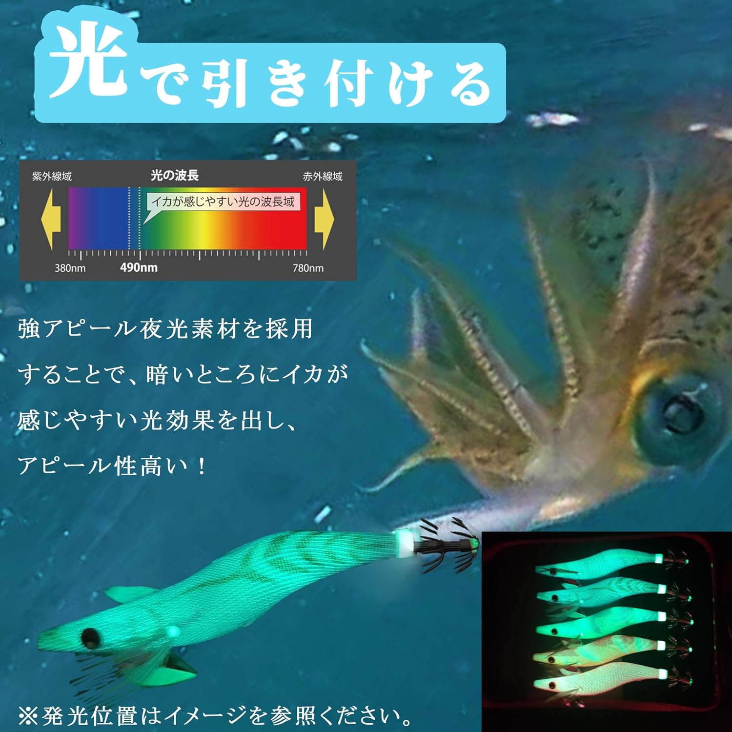 アオリイカ釣り用エギ 2.5号・3号セット 夜光ラトル入り 5本+ケース付き