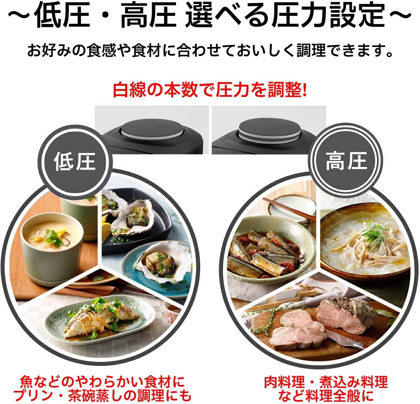 ドイツ製 2～3人向け ステンレス圧力鍋 ビタクイック プレミアム 3.5L【日本正規販売品】