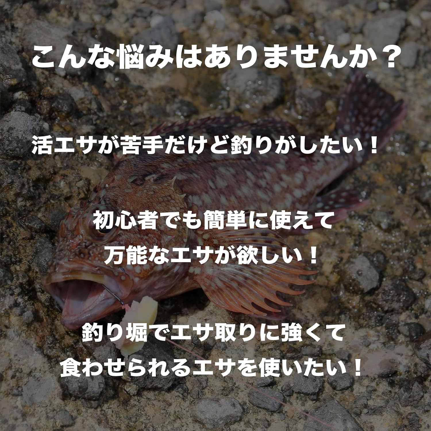 ロックフィッシュ用ハイブリッド釣りエサ ソルト・生エサ・ソフトワーム