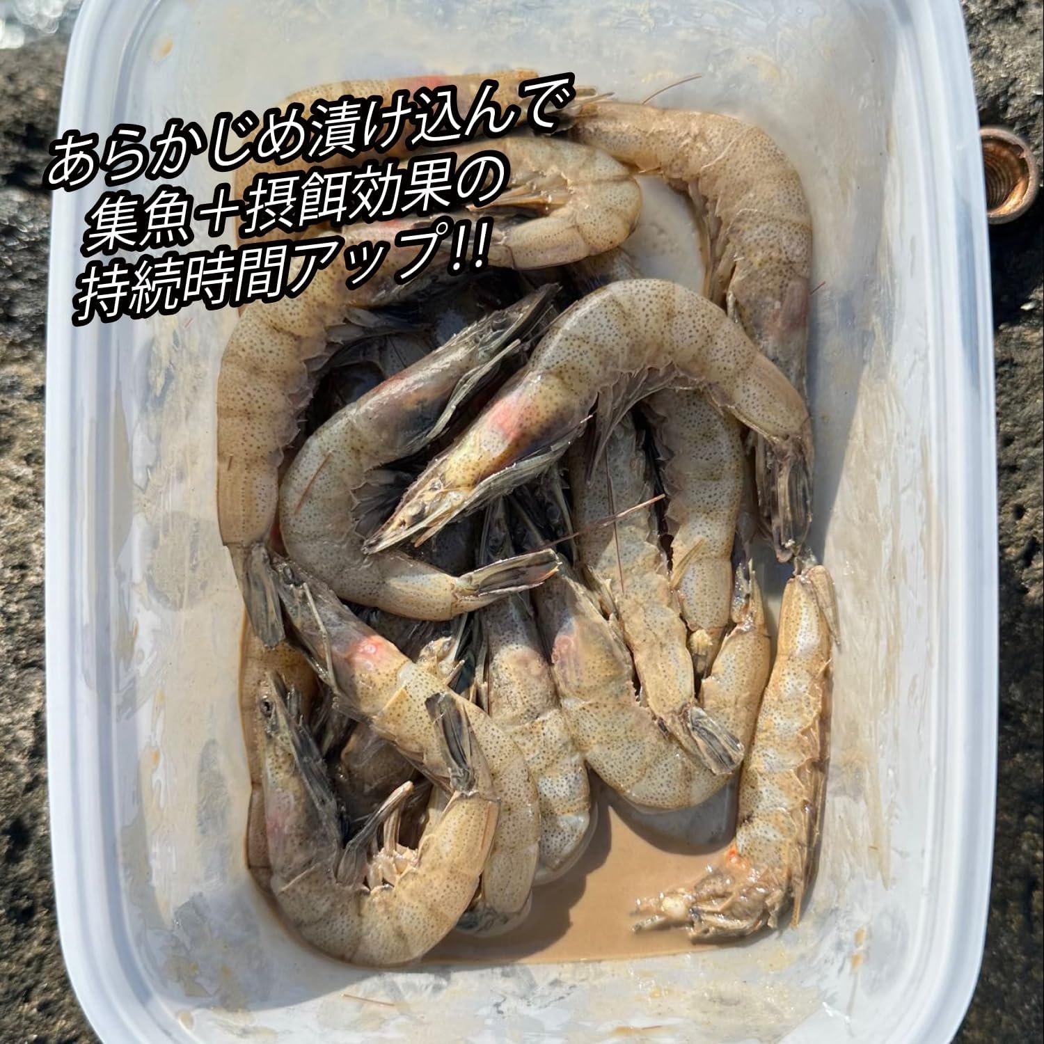 集魚・摂餌漬け込み剤 クックックサイゼ!【ブラックバス・海上釣り堀用】