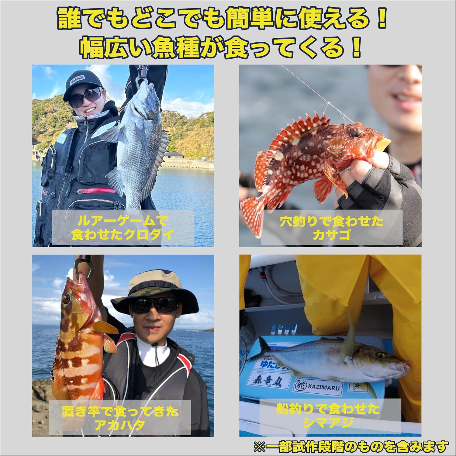 初心者向け海上釣堀セット【真鯛・青物・根魚対応】