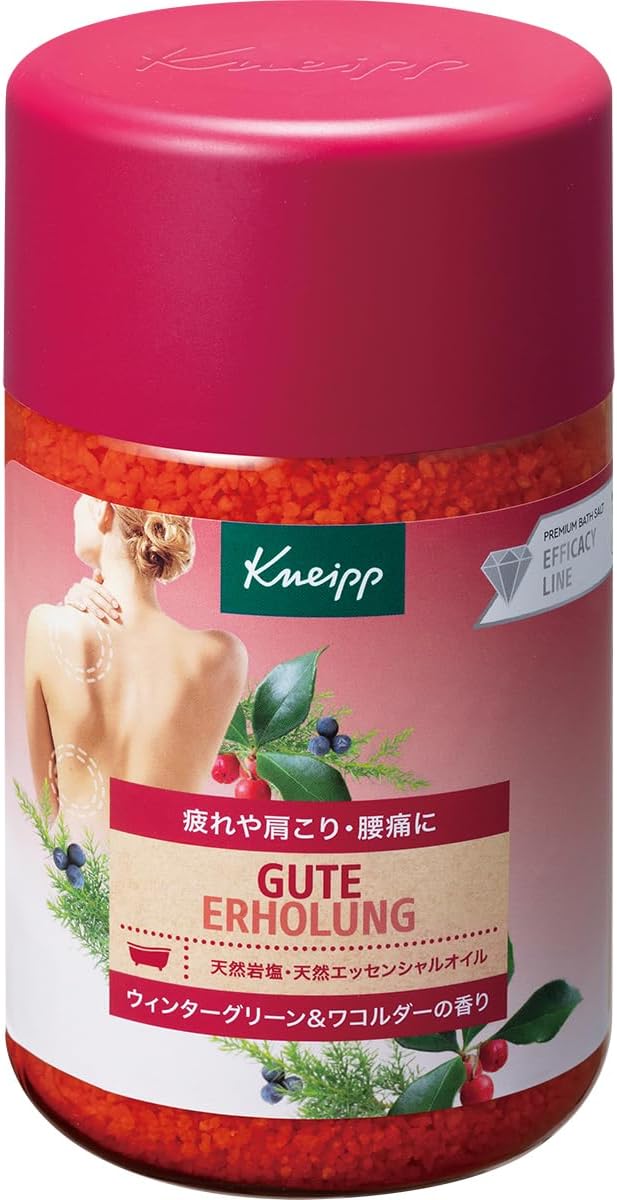 肩こり・腰痛改善 バスソルト グーテエアホールング 850g