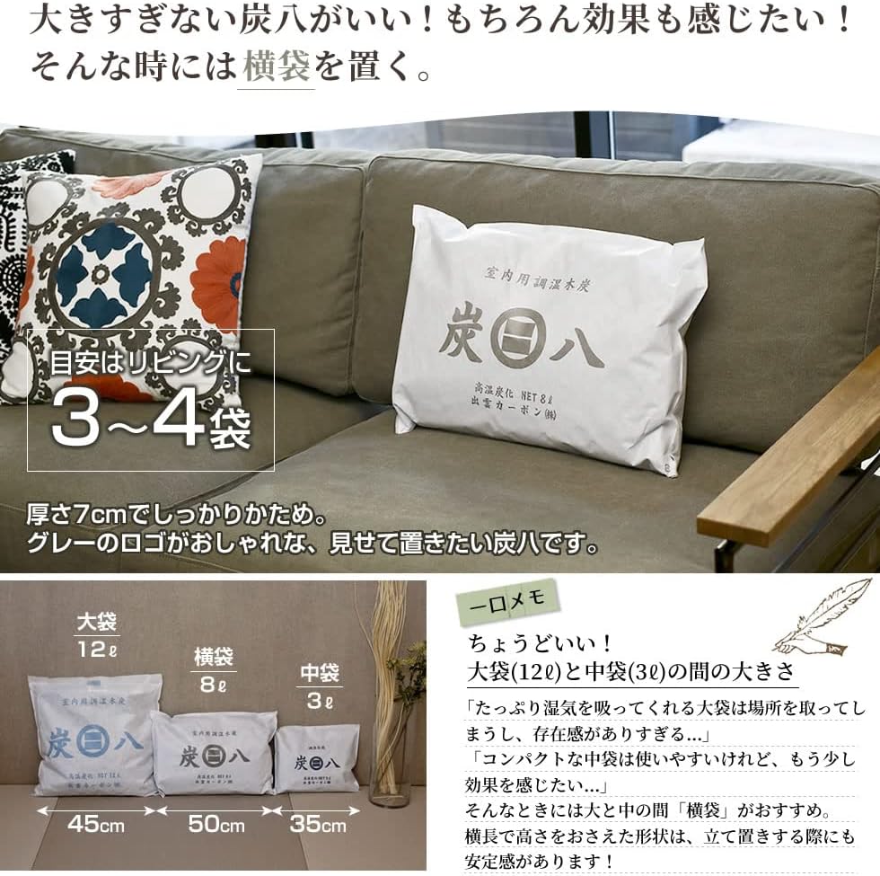 室内用炭除湿バッグ 8L ｜ 消臭・カビ対策に最適、エコな湿気取り