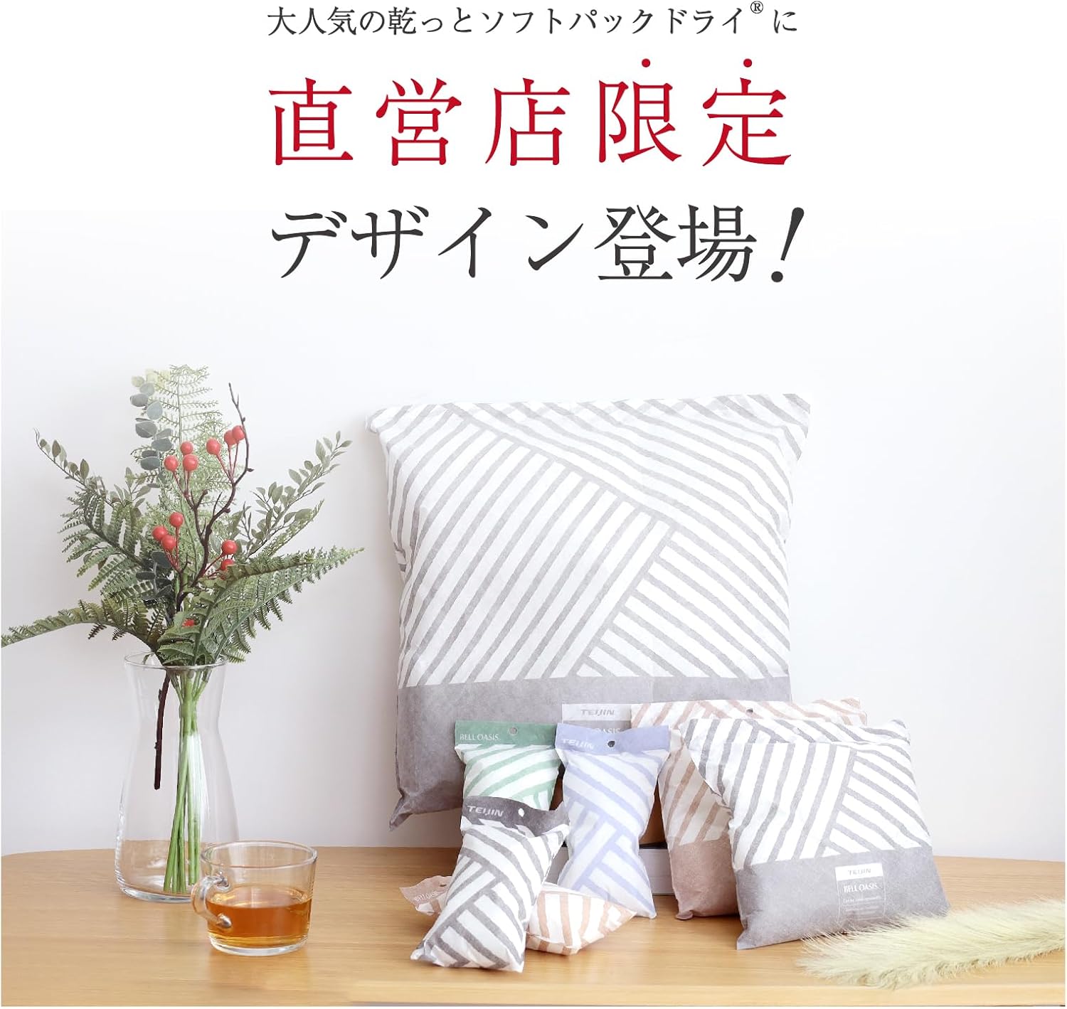 直営店限定カラー テイジン 乾っとソフトパックドライ 除湿・消臭・調湿剤 チャコールグレー レギュラーセット