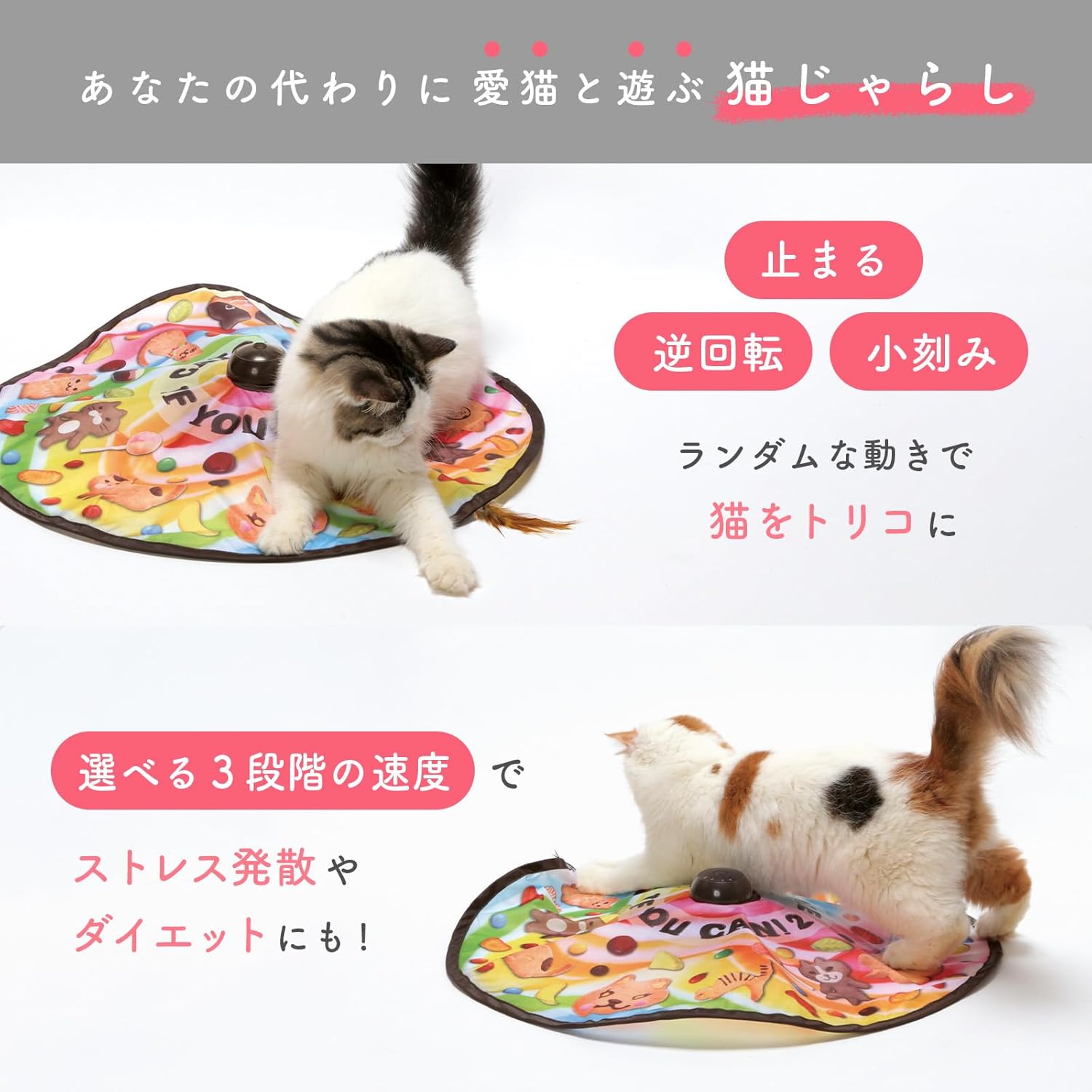 猫用電動おもちゃ「キャッチ・ミー・イフ・ユー・キャン2」