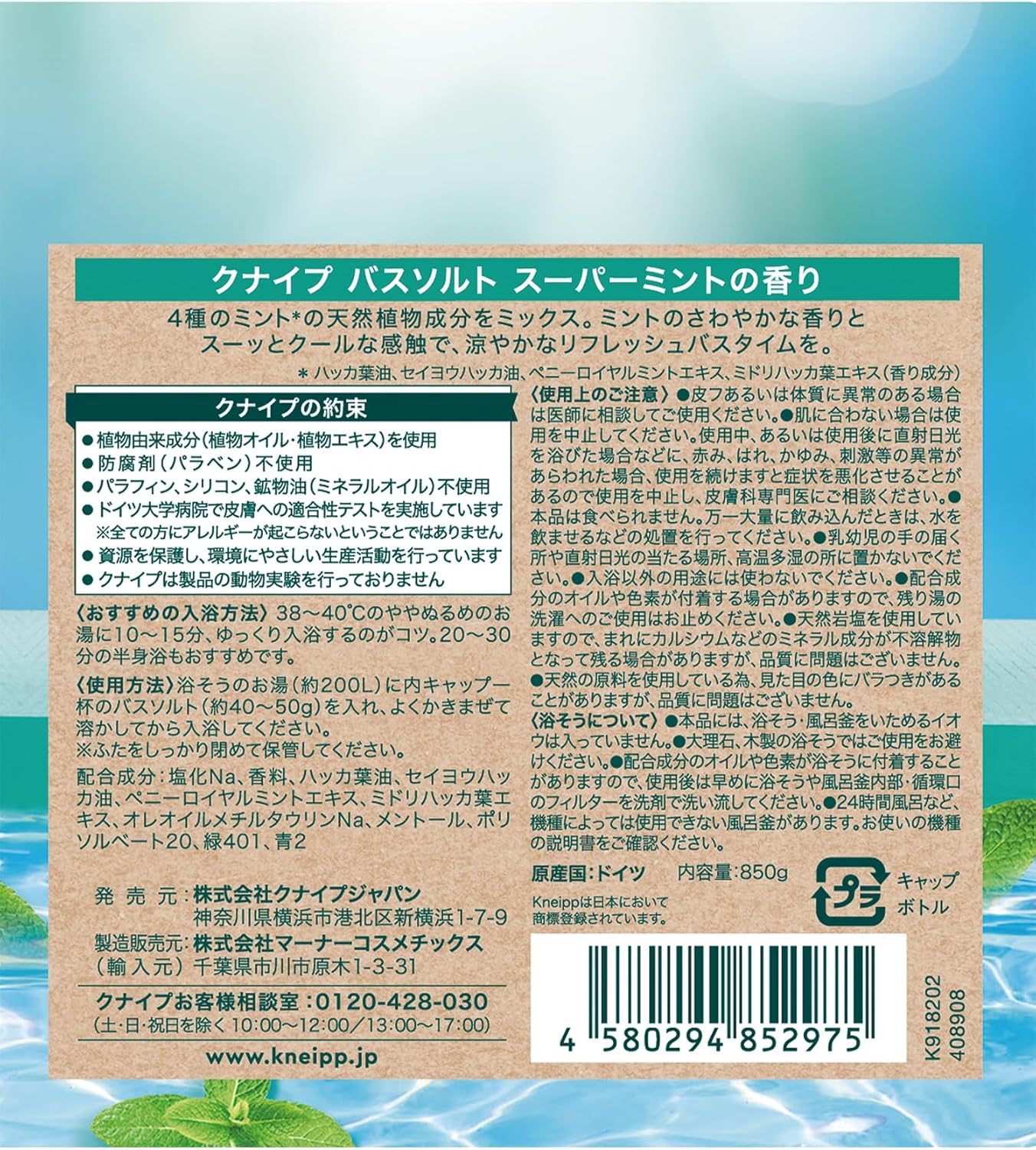夏向けクールバスソルト スーパーミントの香り 850g