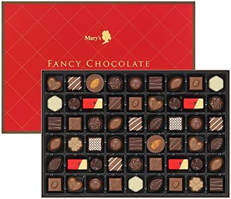 ファンシーチョコレート54個入り