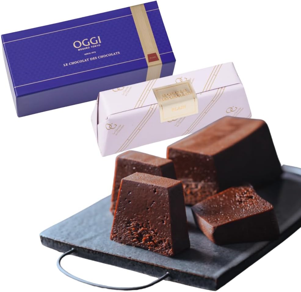 高級チョコレートギフト OGGI（オッジ） 芸能人御用達 ガトーショコラ プレーン
