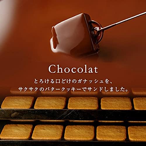 父の日ギフト バニラビーンズ ショーコラ 8個入 個包装付き