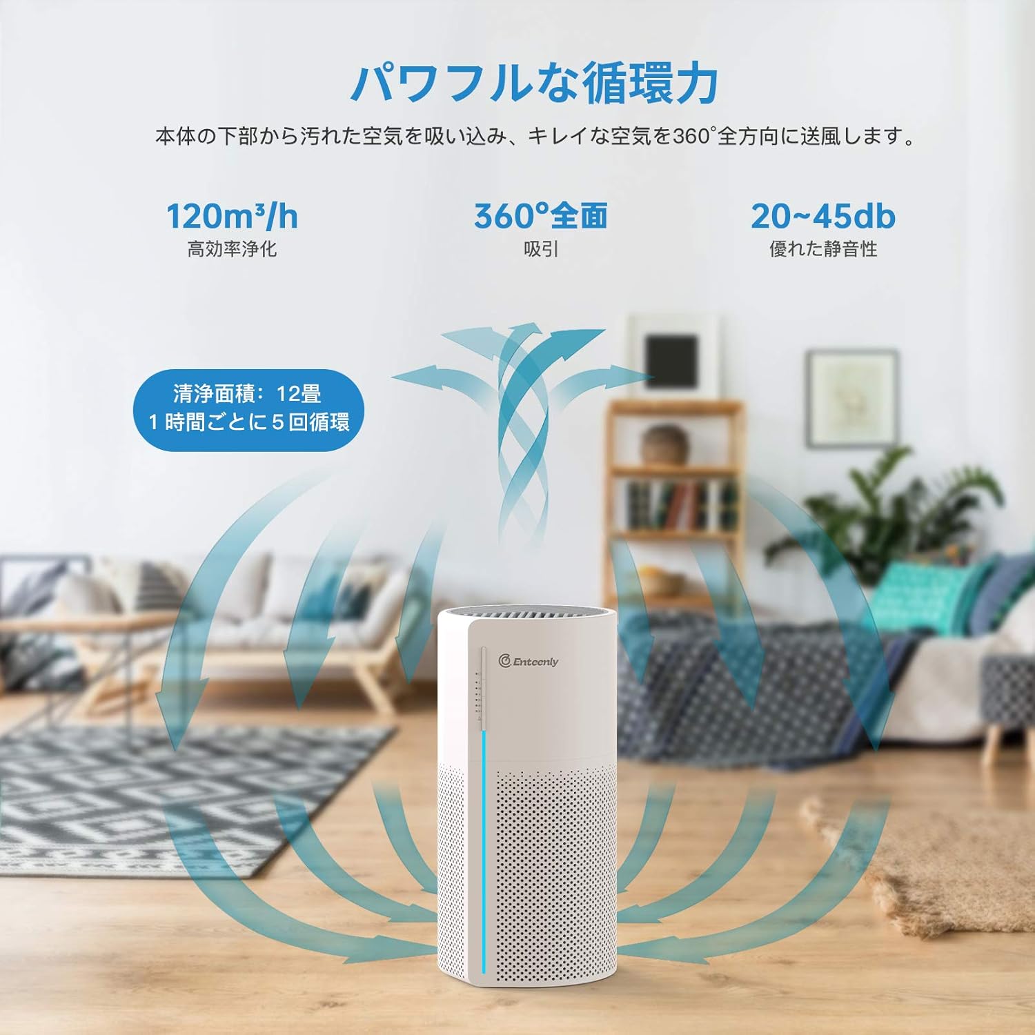 空気清浄機 静音 小型 3役 花粉・タバコ・ペット臭 除菌 PM2.5対応 HEPAフィルター 白 12畳用
