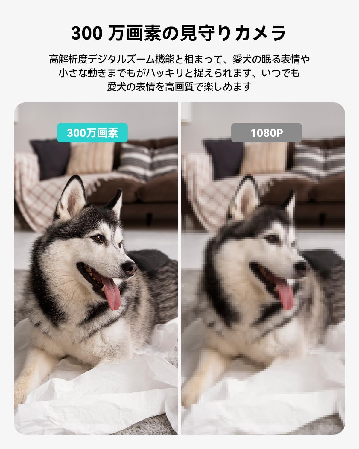 5G対応ワイヤレス防犯カメラ｜3MP・自動追尾・遠隔監視｜ペット・赤ちゃん・お年寄り見守り用