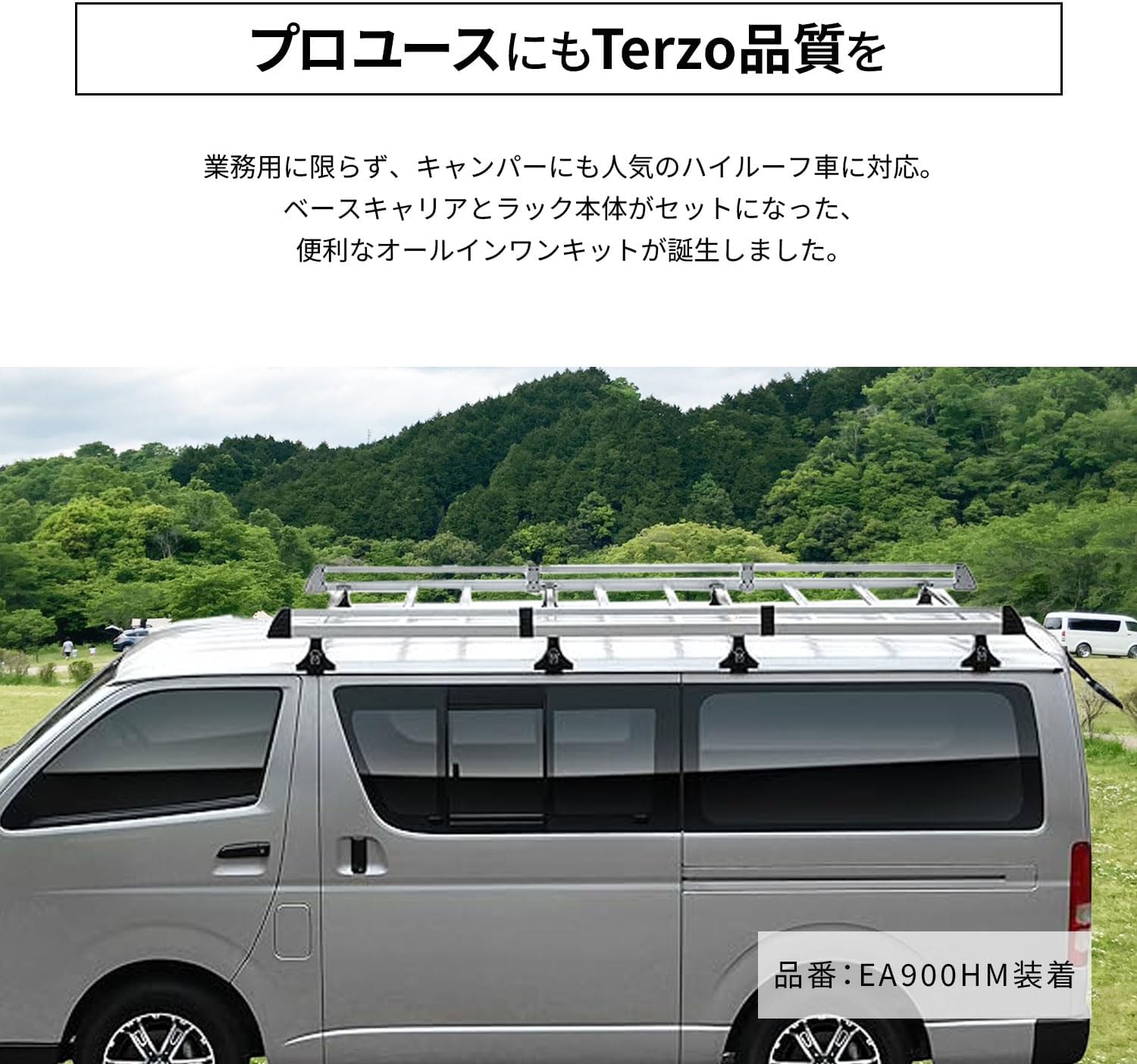業務用ルーフキャリア レインモールタイプ シルバー EA900HM【ハイエース/キャラバン/ボンゴバンなど】