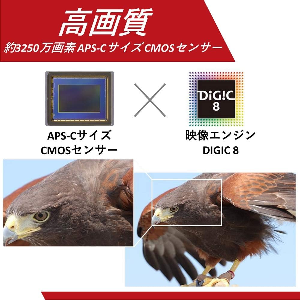 Canon デジタル一眼レフカメラ EOS 90D レンズキット EF-S18-135 IS USM