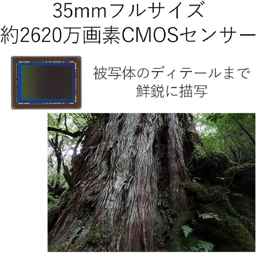 Canon デジタル一眼レフカメラ EOS 6D Mark II ボディ