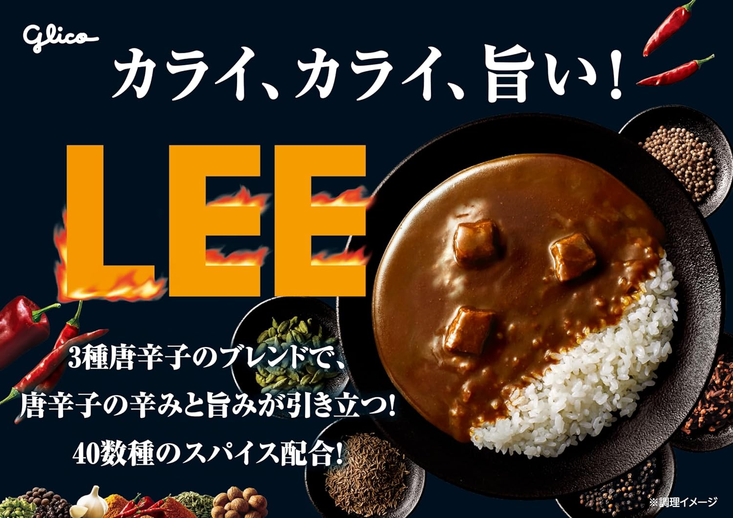 LEE(リー) ビーフカレー 辛さ×10倍 180g×10個 詰め合わせ