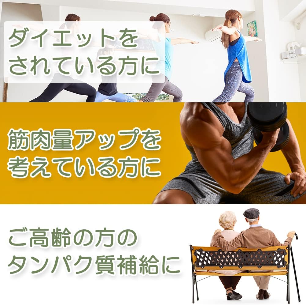大豆とホエイのプロテインブレンド (チョコレート 1kg)