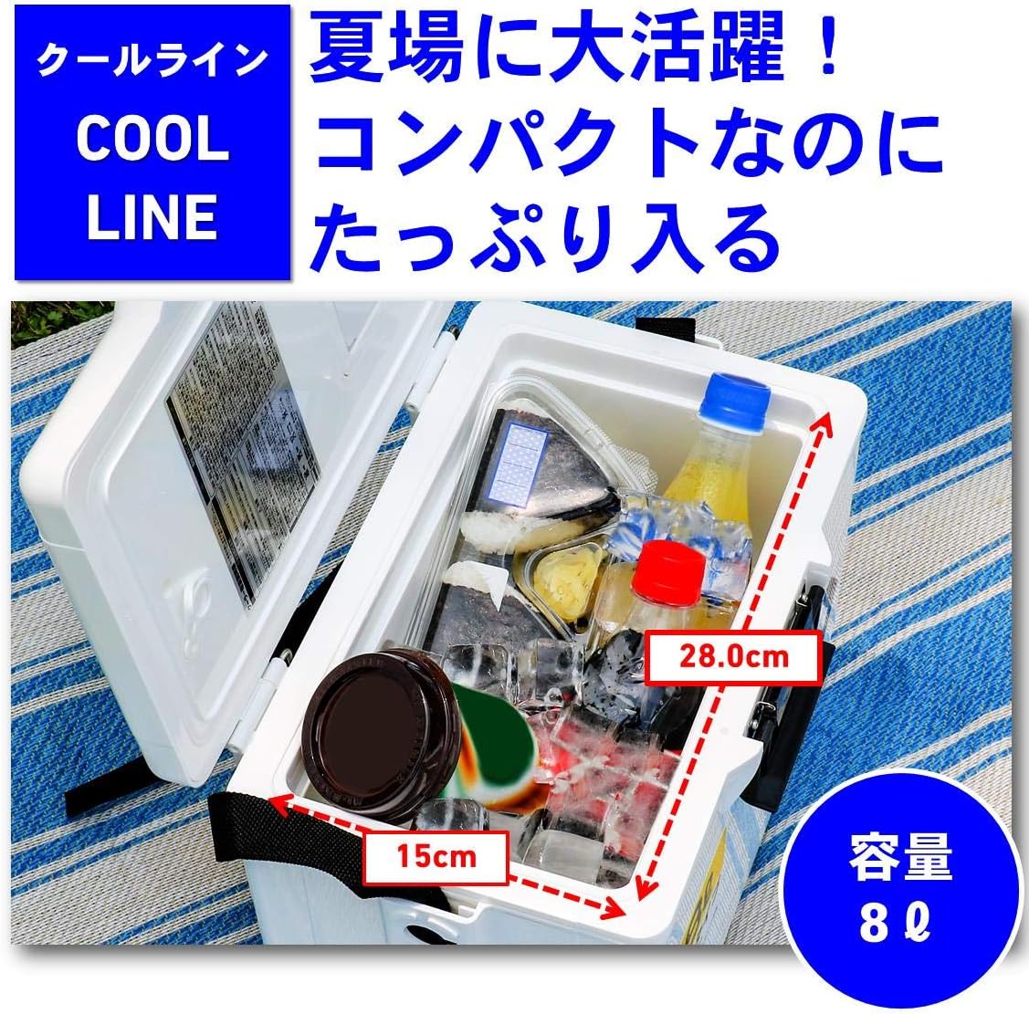 ダイワ クーラーボックス クールライン 6L/8L 小型