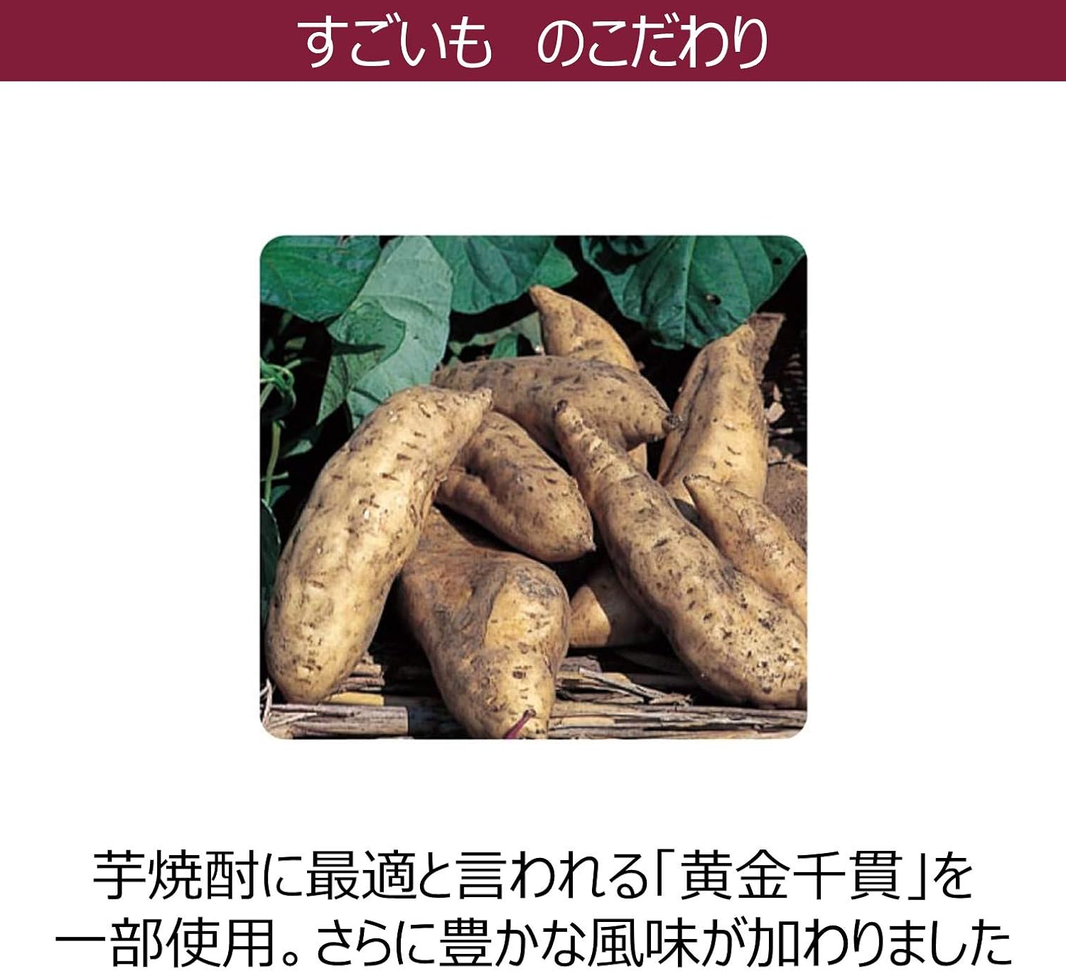 焼酎すごいも 25% 1800mlパック (6本入り)