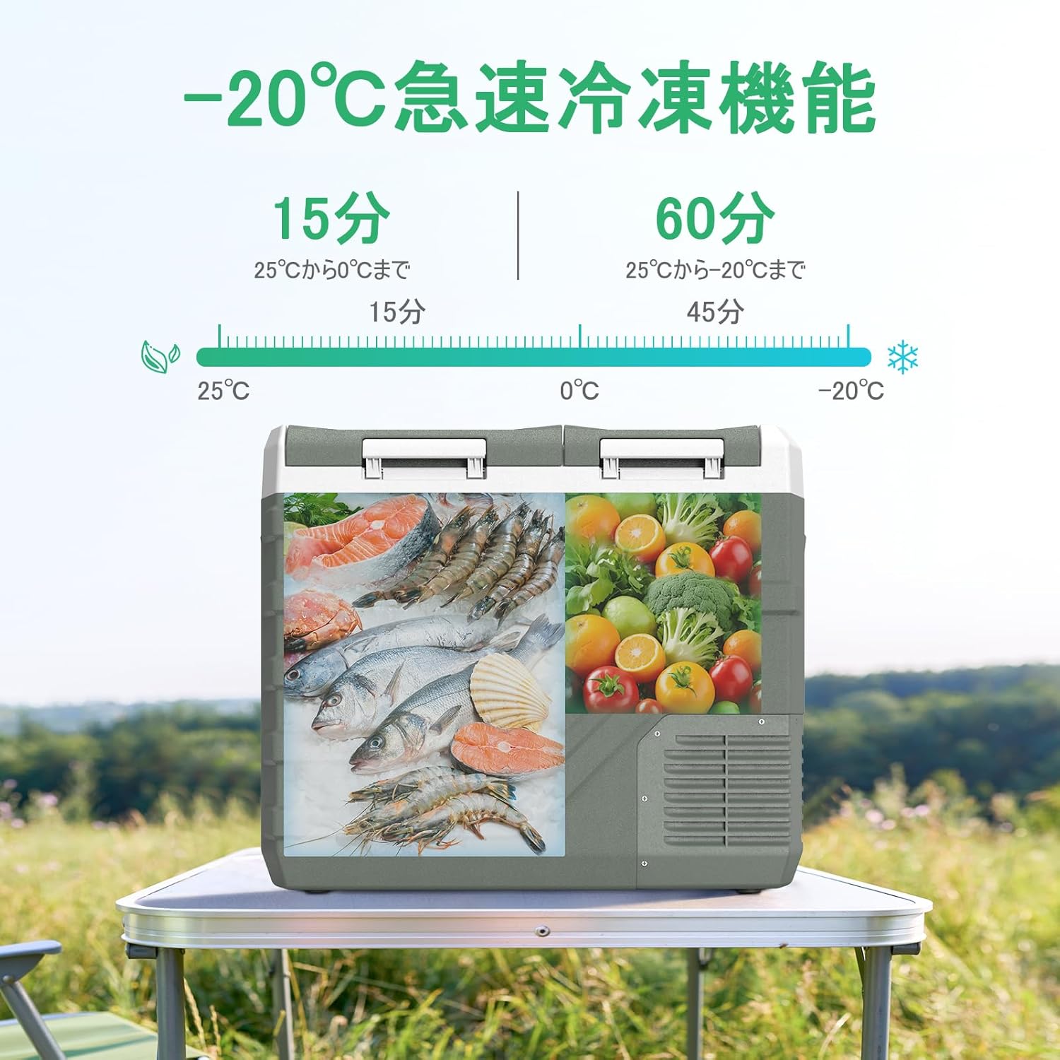 車載用ポータブル冷蔵庫 39L 2室タイプ -20℃～20℃独立温度制御 静音3WAY電源対応 省エネ 低電圧保護 日本語説明書付き