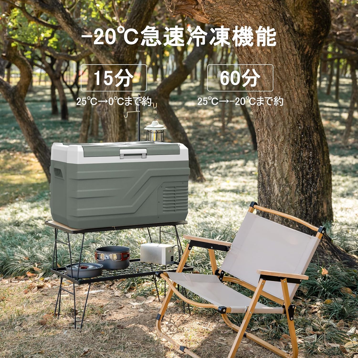 アルピクール 車載冷蔵庫 27L ポータブル -20℃～20℃ 静音 DC12V/24V AC100V対応 低電圧保護 キャンプ用