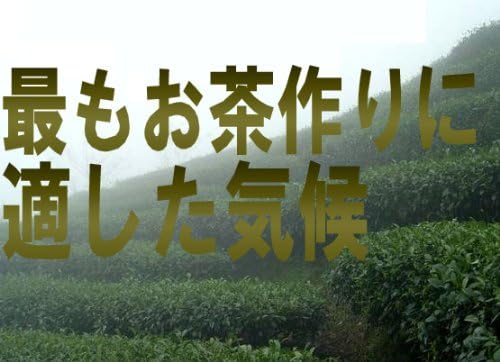 台湾高山ウーロン茶 300g 美食同源 化粧箱入り