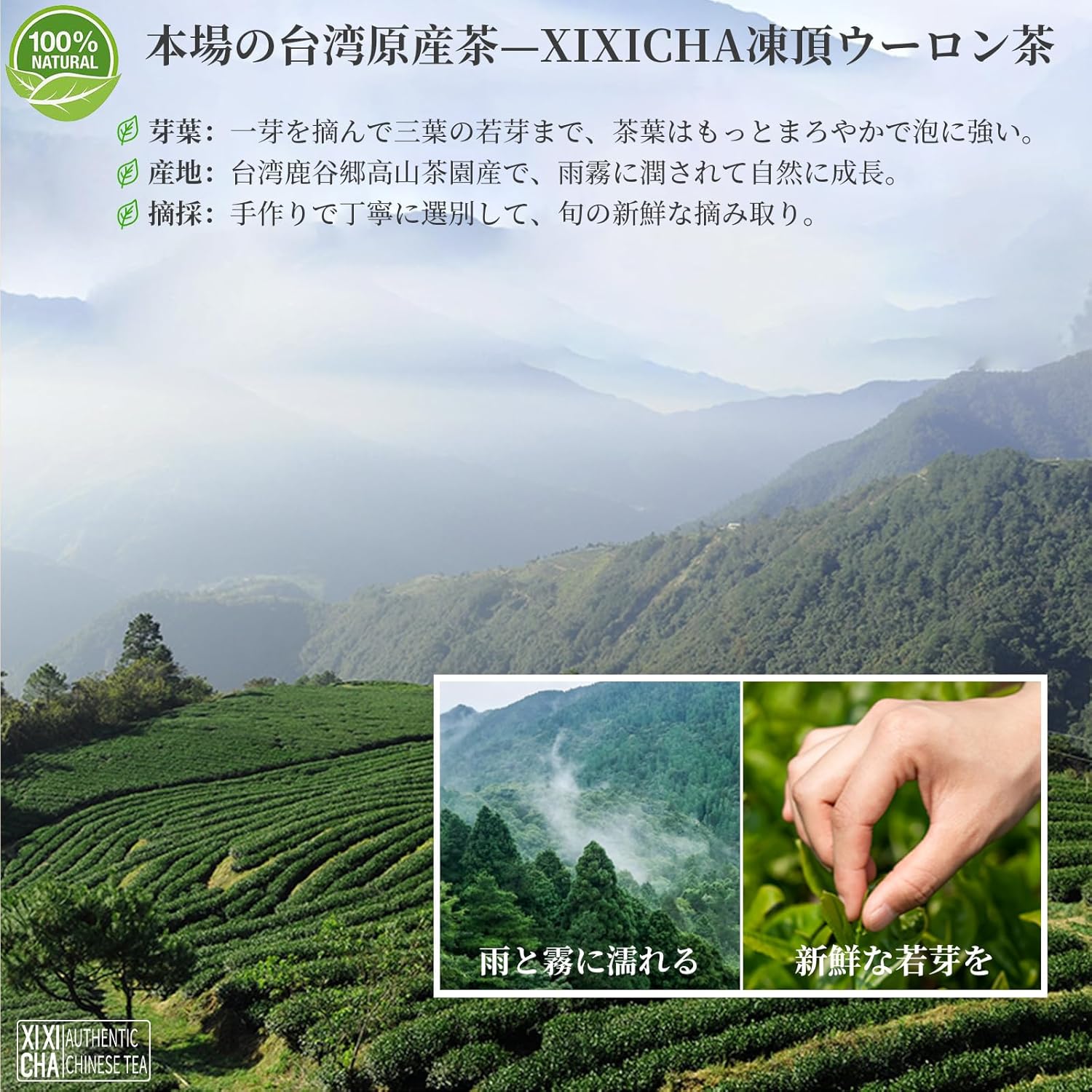 台湾茶 凍頂烏龍茶 150g 手摘み 無添加 健康茶