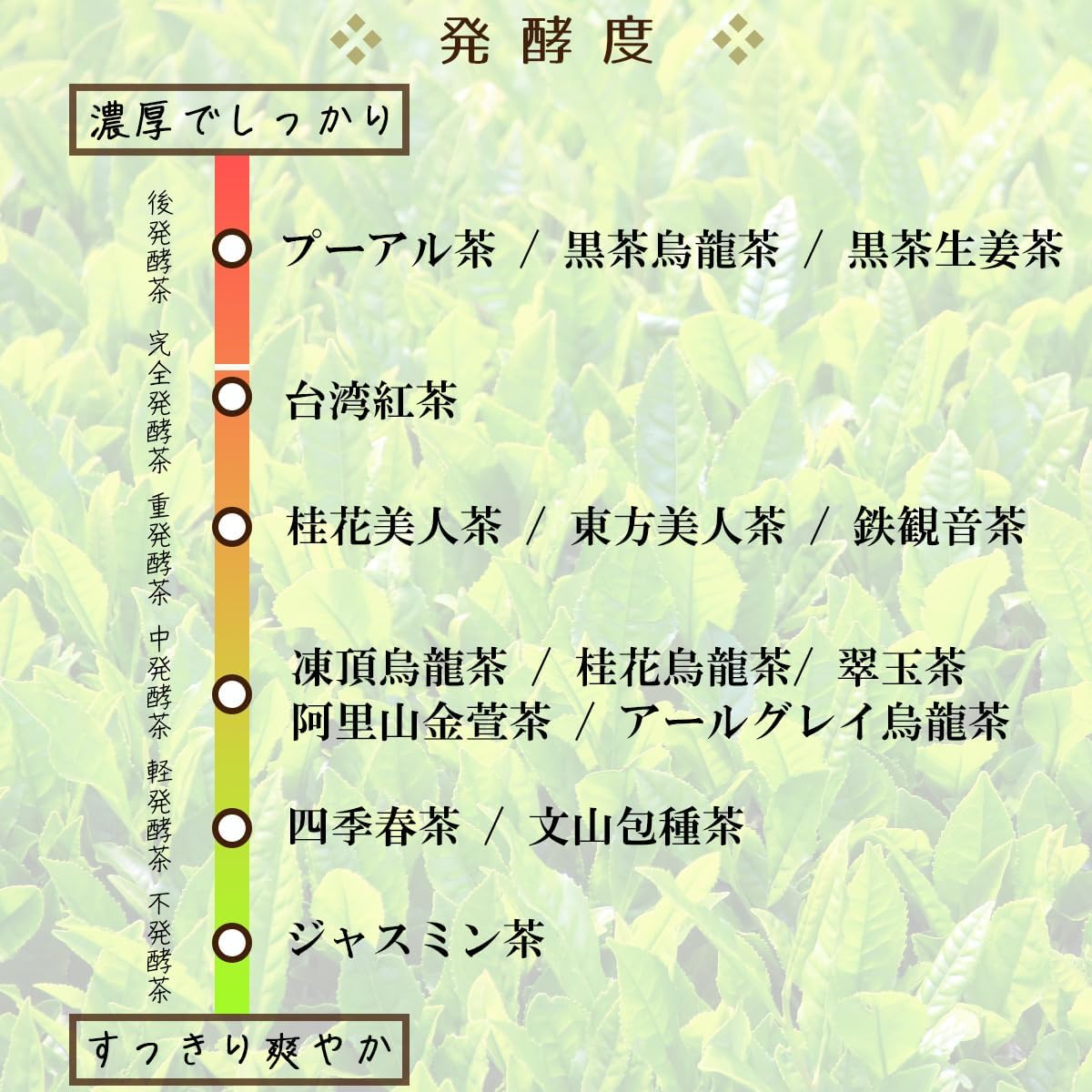 台湾産鉄観音茶ティーバッグ (1.5g×120P) - 水出し中国茶 ウーロン茶【業務用】