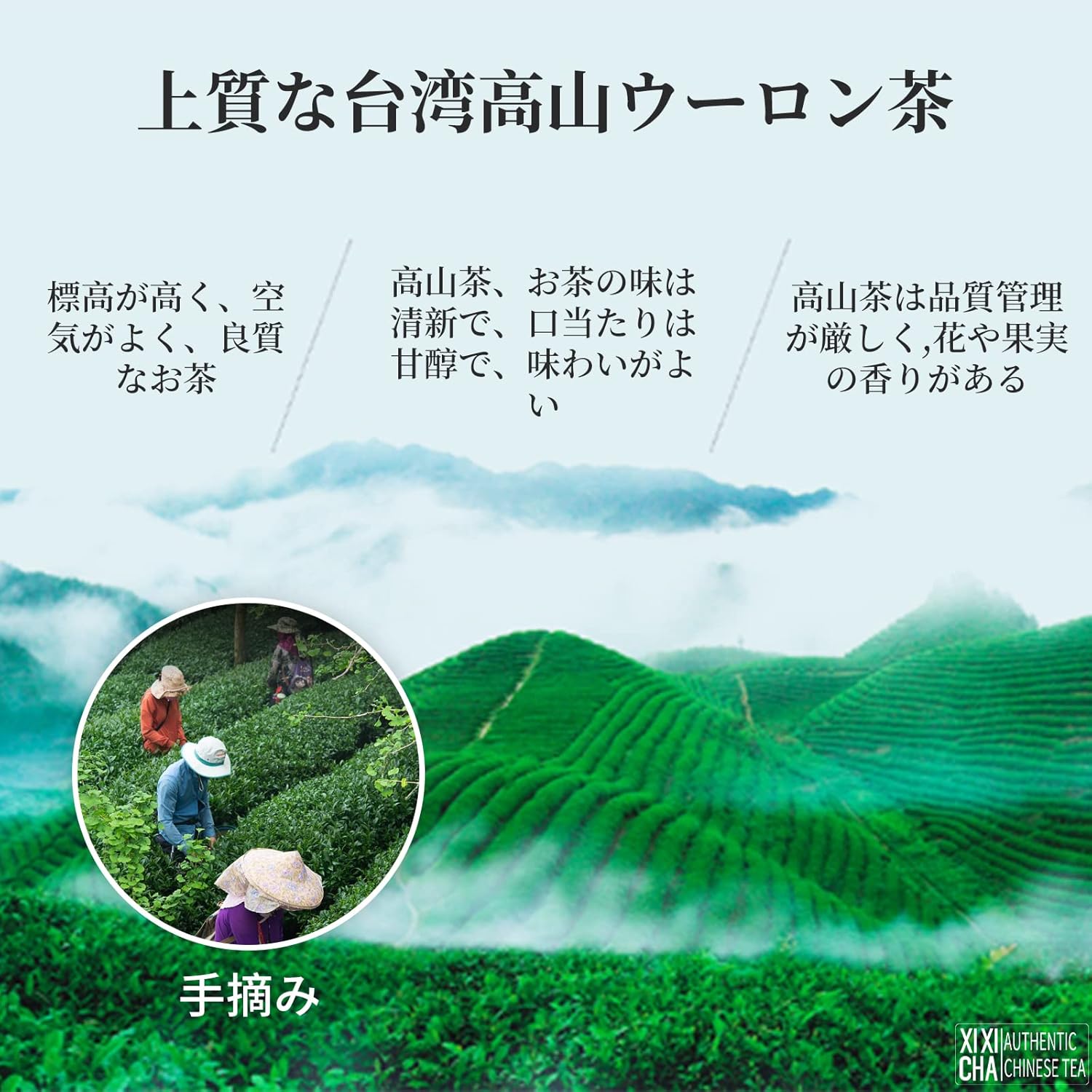 大禹嶺ウーロン茶 無添加 健康茶 150g 台湾高山茶