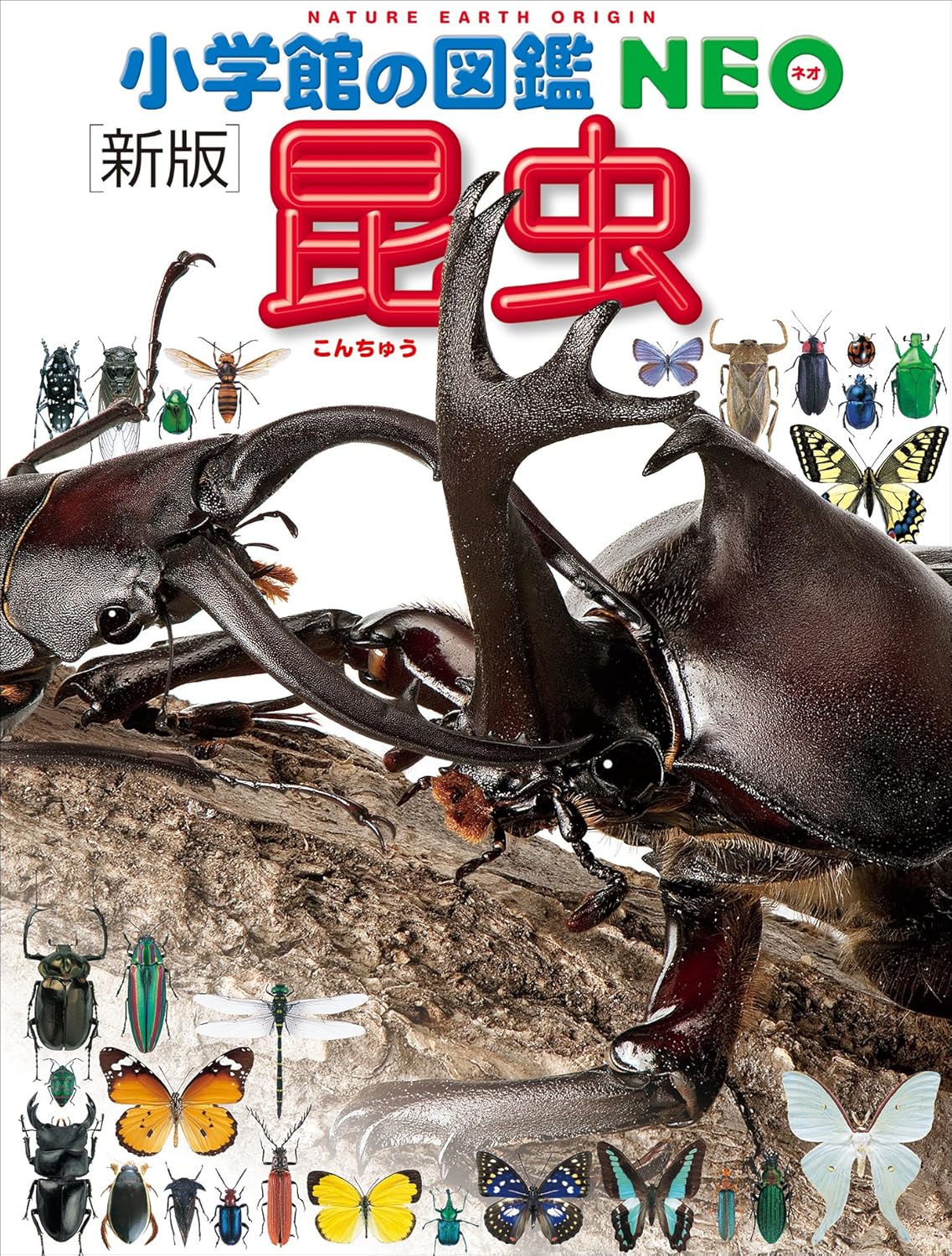 昆虫図鑑NEO〔新版〕