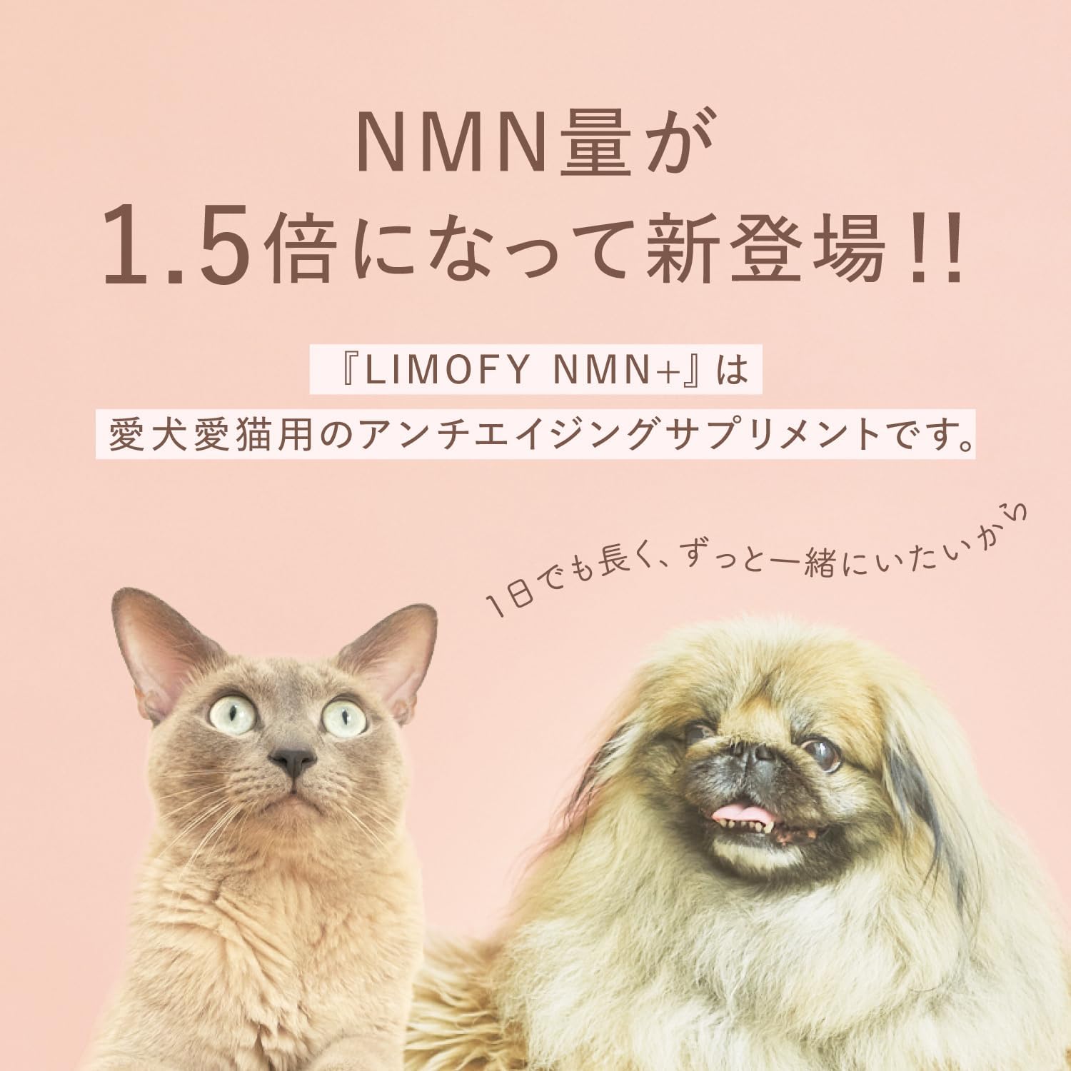 ペット用アンチエイジングサプリメント NMN 1,500mg 風化貝・グルタチオン配合 まとめ買い (1袋)