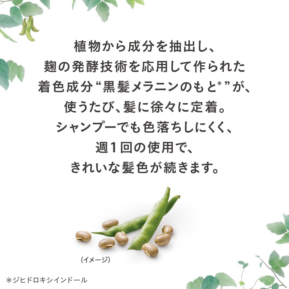 白髪用 髪色クリーム リ・ブラック (自然な黒さ) ふんわり仕上げ