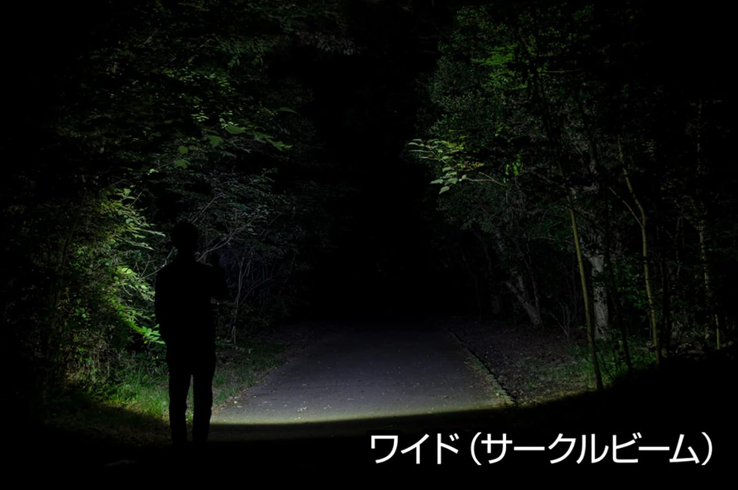 LED懐中電灯 閃シリーズ 250〜450ルーメン 単3/単4電池式・充電式