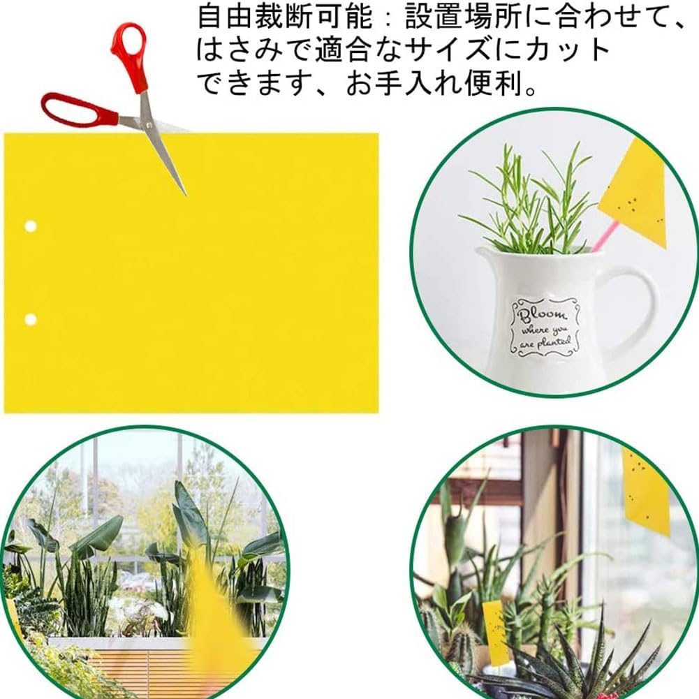 昆虫捕り粘着シート 50枚入り 屋内外対応 10cm×20cm 害虫対策