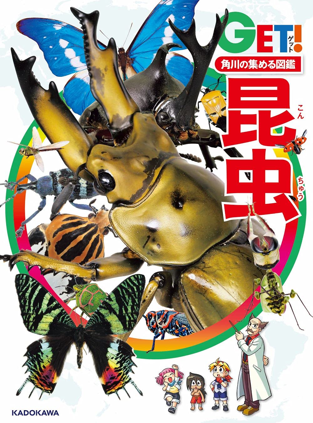 昆虫図鑑 - 角川の集めるシリーズ