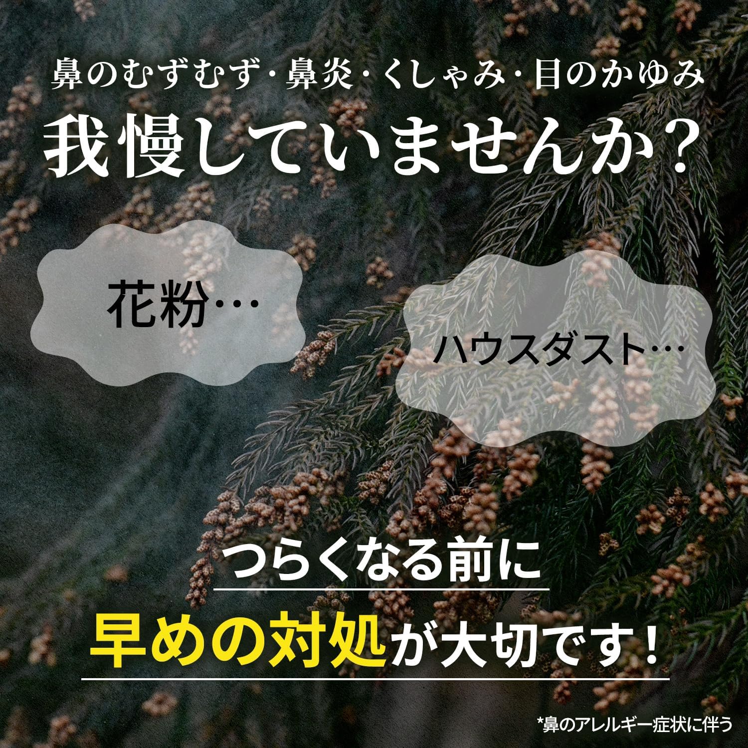 ロラタジンAG 30錠 アレルギー専用鼻炎薬 花粉症・ハウスダスト対策
