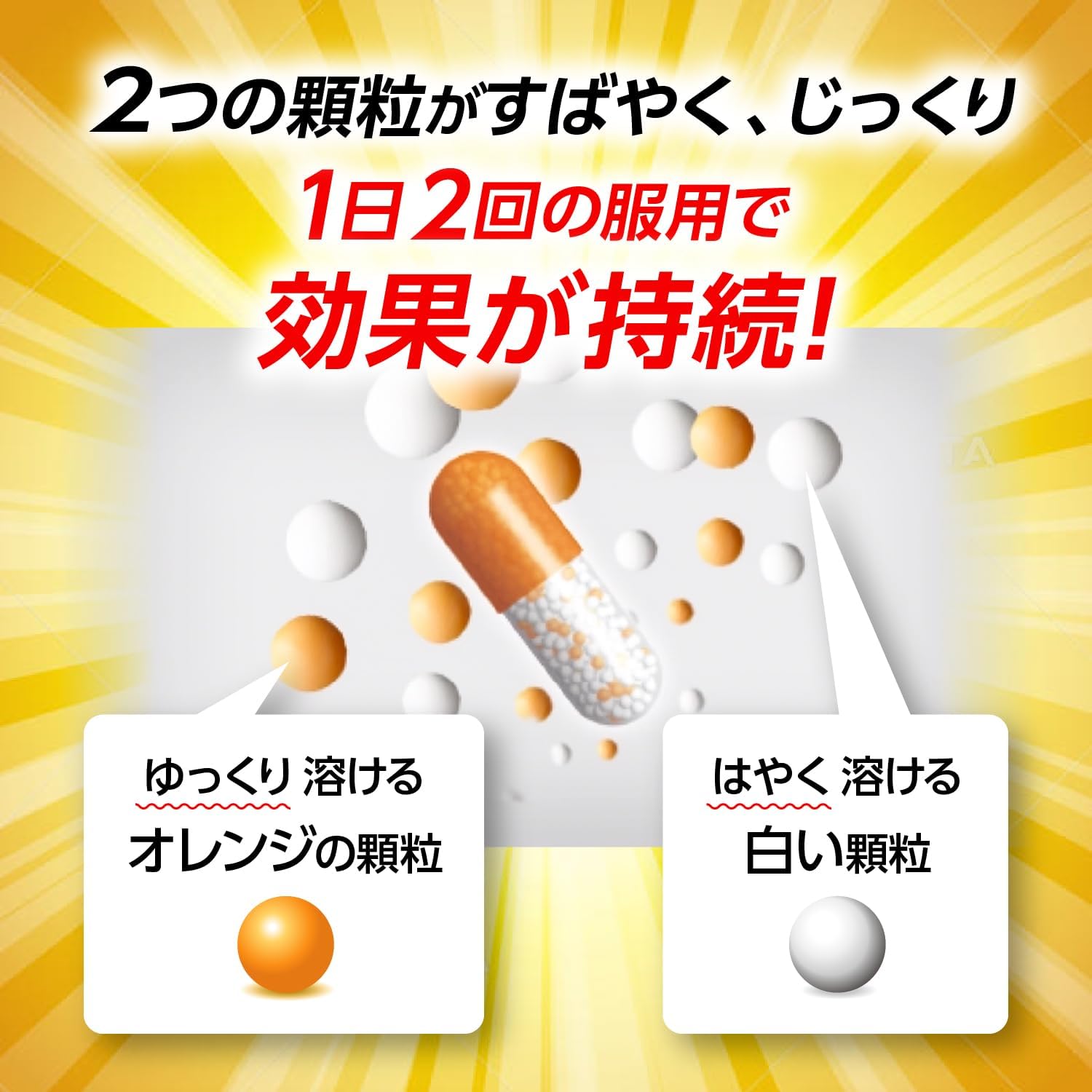 パブロン鼻炎カプセルSα 48カプセル【指定第2類医薬品】