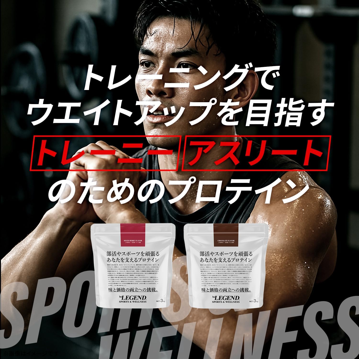 チョコ風味のマルチプロテイン 3kg - ビーレジェンド 国内製造