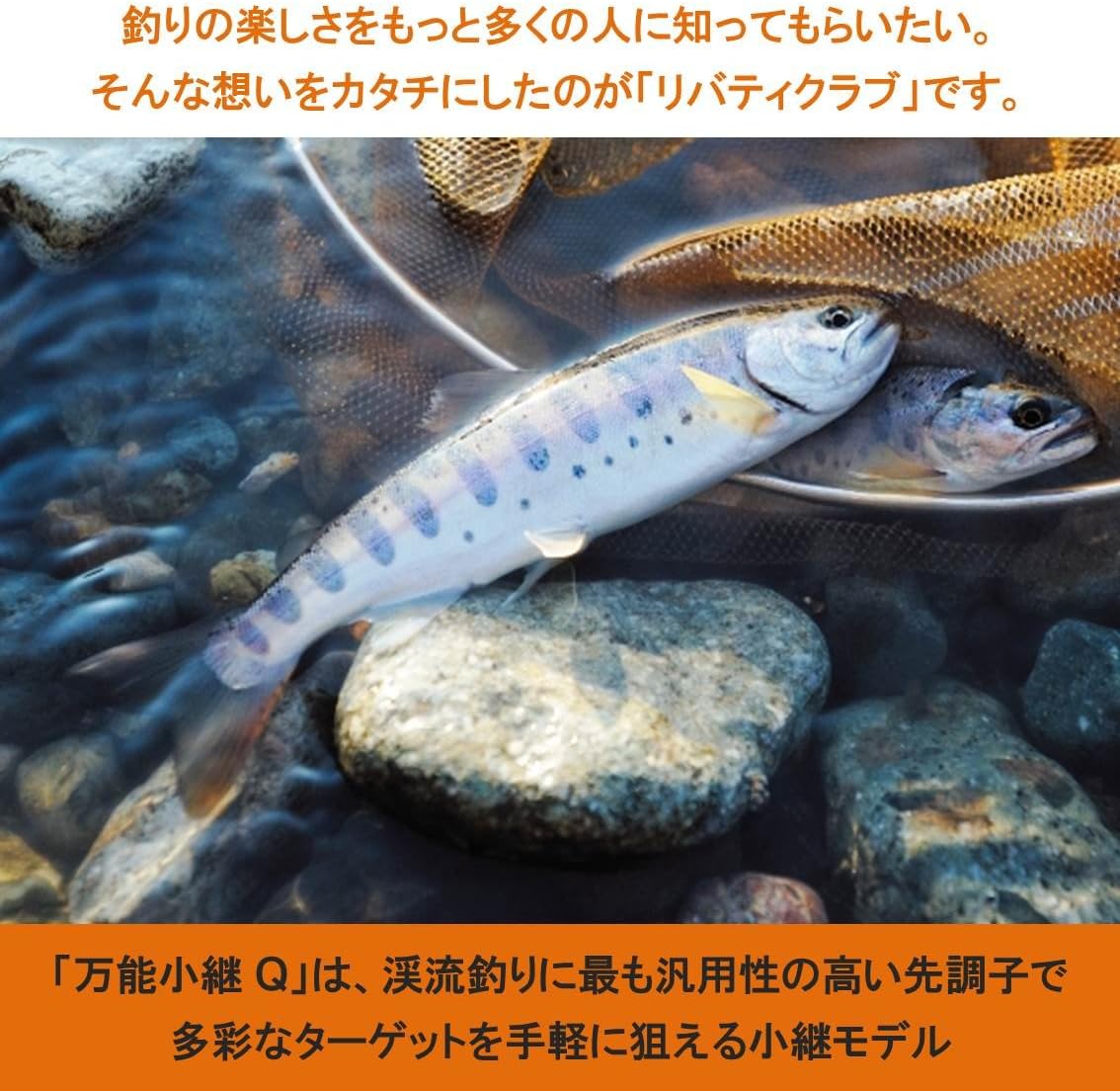 リバティクラブ万能小継竿 DAIWA