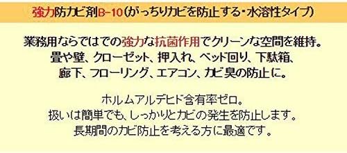 強力防カビ剤 B-10 ボトル詰め替えタイプ 2000ml 抗菌作用でカビ防止