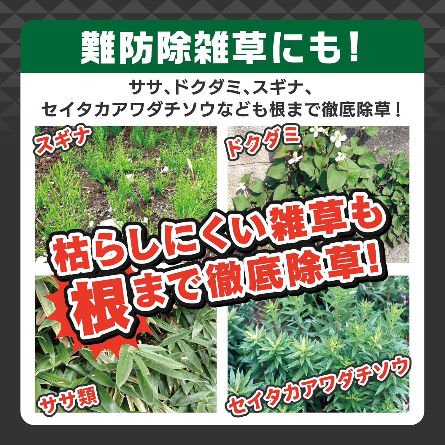 住友化学園芸 除草剤 メガロングシャワーGT 4.8L 強力タイプ 480㎡対応
