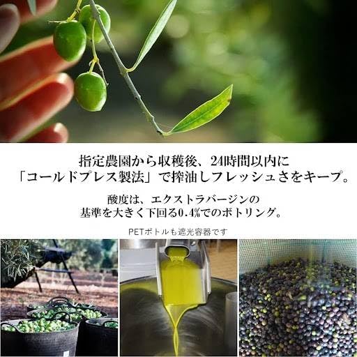 有機JAS認証 コールドプレス製法 ヴィラブランカ エクストラバージンオリーブオイル 500ml