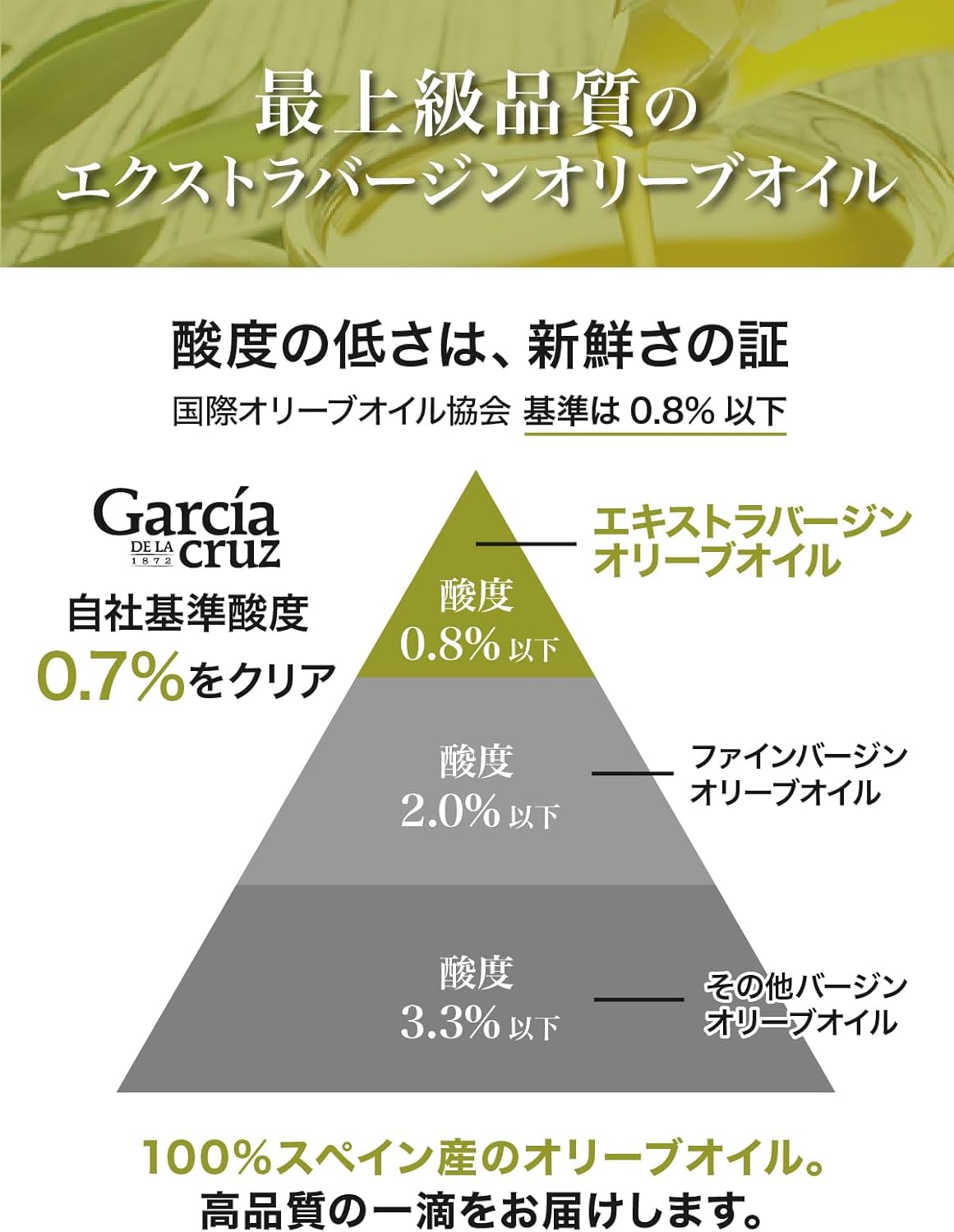 スペイン産ガルシア エキストラバージンオリーブオイル 2000ml 大容量業務用