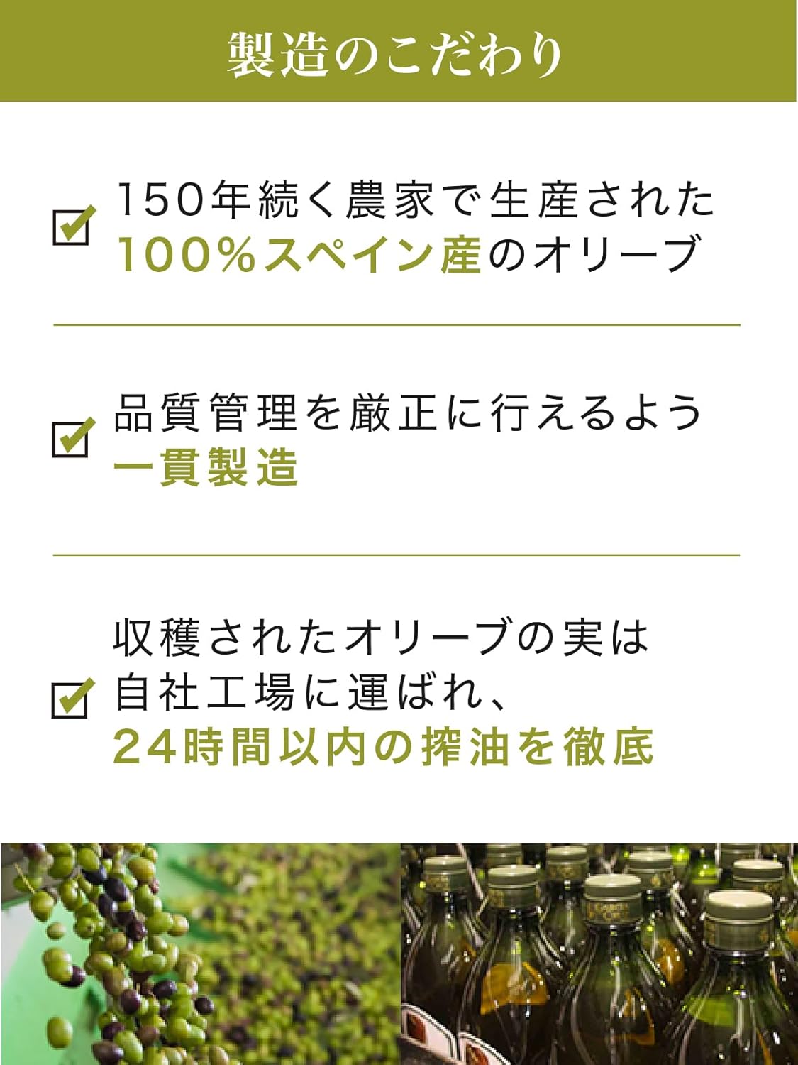 スペイン産ガルシア エキストラバージンオリーブオイル 2000ml 大容量業務用