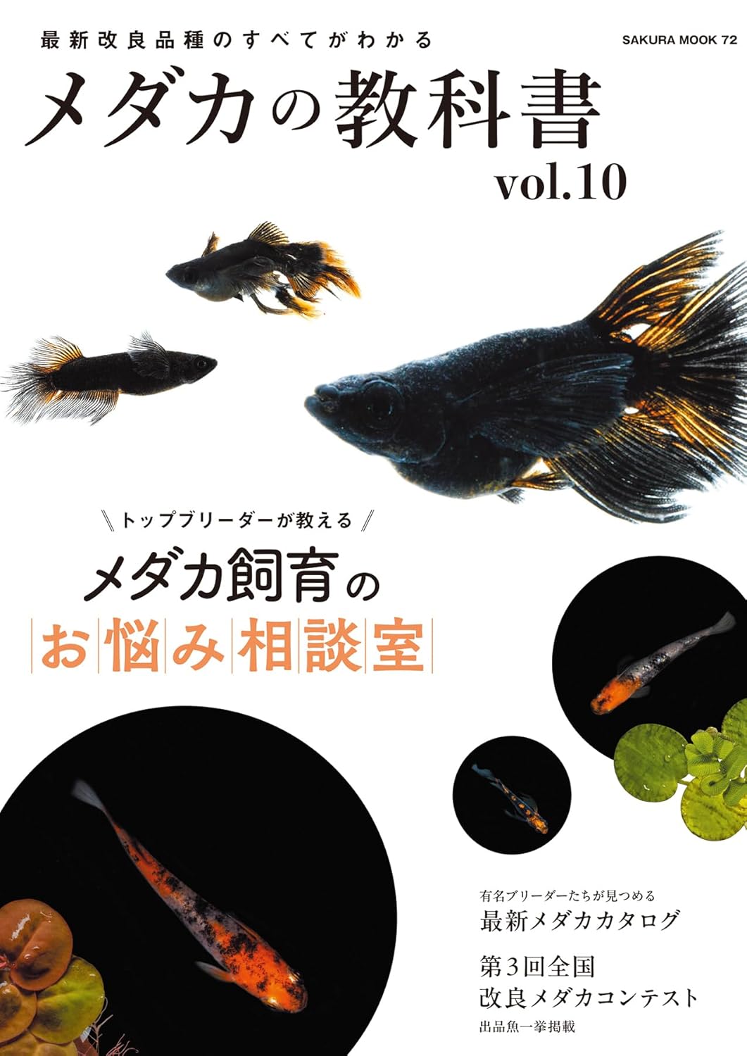最新改良品種のメダカの教科書 vol.10